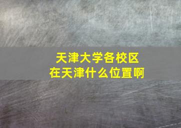 天津大学各校区在天津什么位置啊