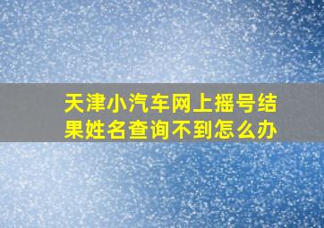 天津小汽车网上摇号结果姓名查询不到怎么办