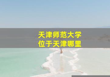 天津师范大学位于天津哪里