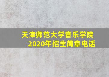 天津师范大学音乐学院2020年招生简章电话