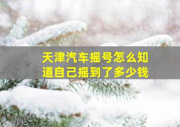 天津汽车摇号怎么知道自己摇到了多少钱