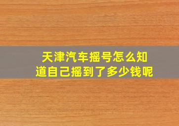 天津汽车摇号怎么知道自己摇到了多少钱呢