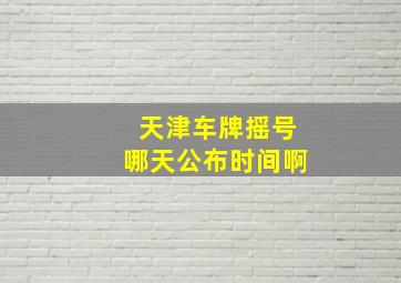 天津车牌摇号哪天公布时间啊