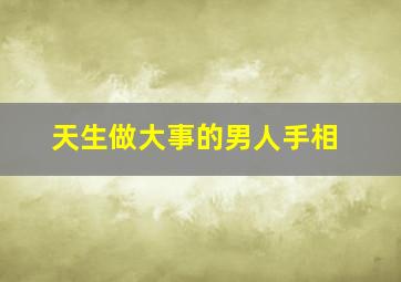 天生做大事的男人手相