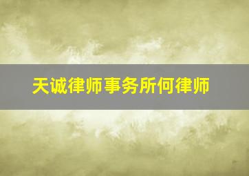 天诚律师事务所何律师