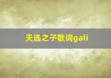 天选之子歌词gali