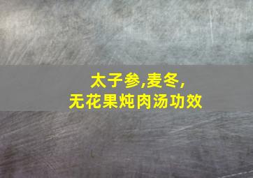 太子参,麦冬,无花果炖肉汤功效