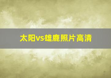 太阳vs雄鹿照片高清