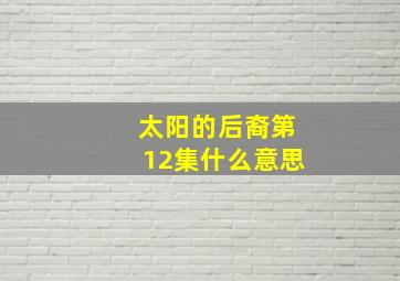 太阳的后裔第12集什么意思