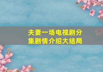 夫妻一场电视剧分集剧情介绍大结局