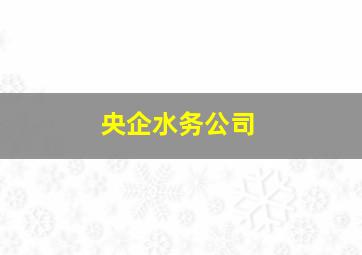 央企水务公司