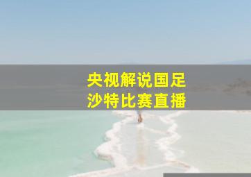 央视解说国足沙特比赛直播