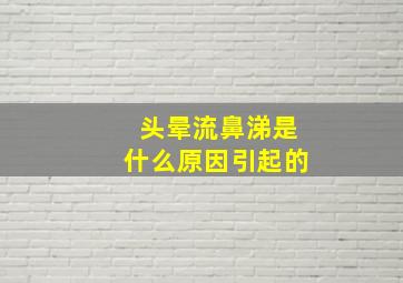 头晕流鼻涕是什么原因引起的