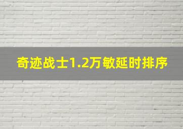 奇迹战士1.2万敏延时排序