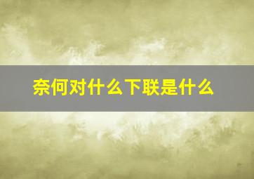 奈何对什么下联是什么