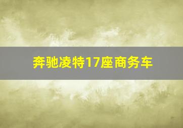 奔驰凌特17座商务车