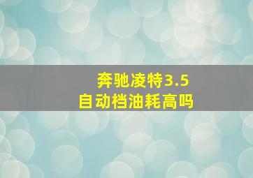 奔驰凌特3.5自动档油耗高吗