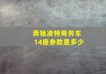 奔驰凌特商务车14座参数是多少