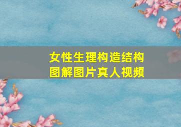 女性生理构造结构图解图片真人视频