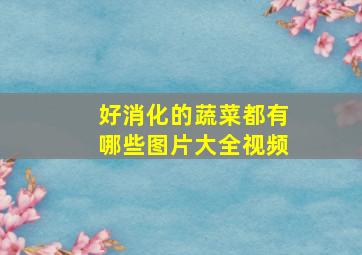 好消化的蔬菜都有哪些图片大全视频