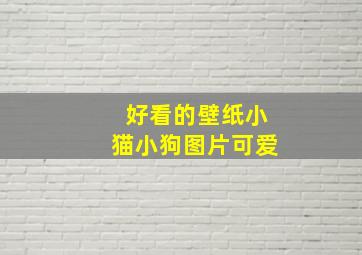 好看的壁纸小猫小狗图片可爱