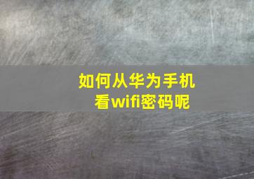 如何从华为手机看wifi密码呢