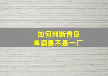 如何判断青岛啤酒是不是一厂