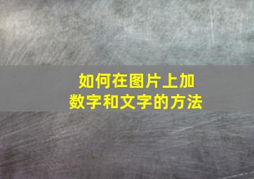 如何在图片上加数字和文字的方法