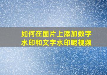 如何在图片上添加数字水印和文字水印呢视频