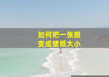 如何把一张图变成壁纸大小