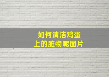 如何清洁鸡蛋上的脏物呢图片