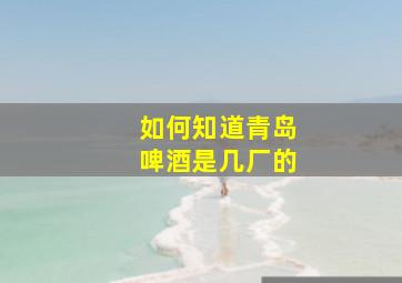 如何知道青岛啤酒是几厂的