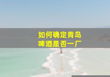 如何确定青岛啤酒是否一厂