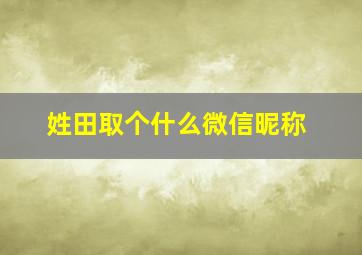 姓田取个什么微信昵称