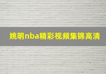 姚明nba精彩视频集锦高清