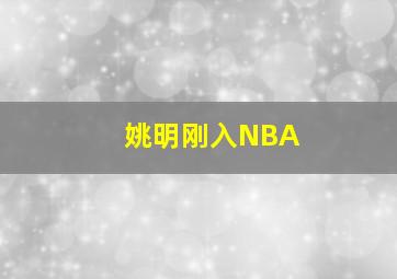 姚明刚入NBA