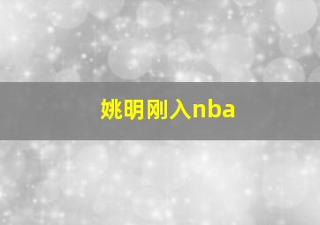 姚明刚入nba