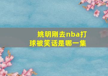 姚明刚去nba打球被笑话是哪一集