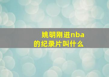 姚明刚进nba的纪录片叫什么