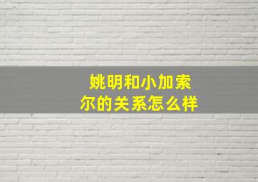 姚明和小加索尔的关系怎么样