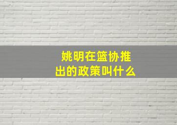 姚明在篮协推出的政策叫什么