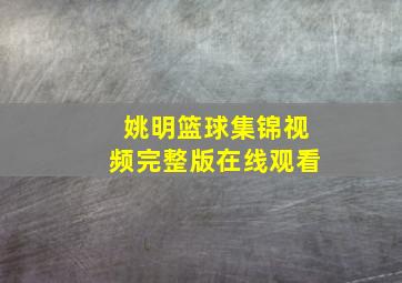 姚明篮球集锦视频完整版在线观看