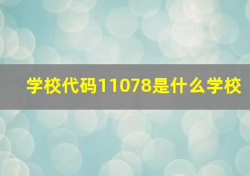 学校代码11078是什么学校