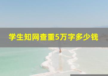 学生知网查重5万字多少钱