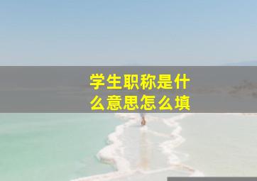 学生职称是什么意思怎么填