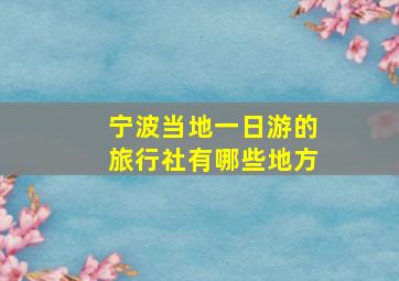 宁波当地一日游的旅行社有哪些地方