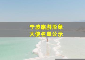 宁波旅游形象大使名单公示