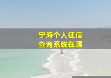 宁海个人征信查询系统在哪