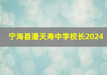 宁海县潘天寿中学校长2024