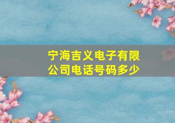 宁海吉义电子有限公司电话号码多少